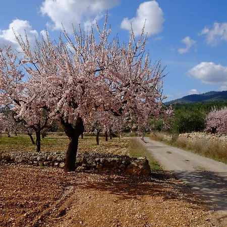 Hétvégi ház Aldea Roqueta Rural Els Ibarsos